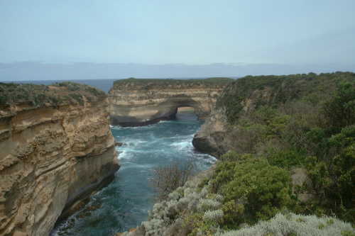 Port Campell NP: Muttonbird Island