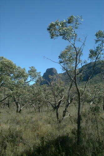 Grampians: Chimney Pot