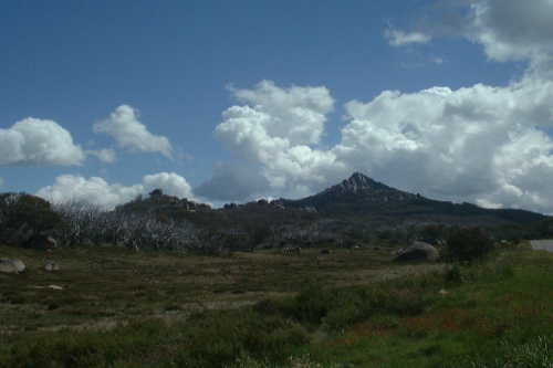Mt. Buffalo NP: The Horn, 1723m