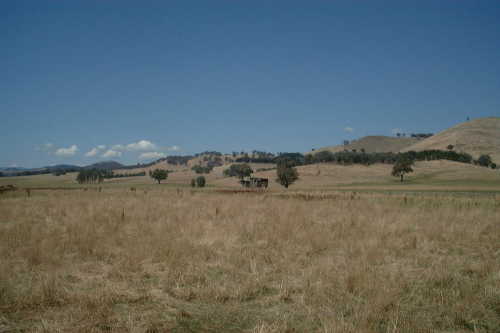 Landscape near Myrtleford